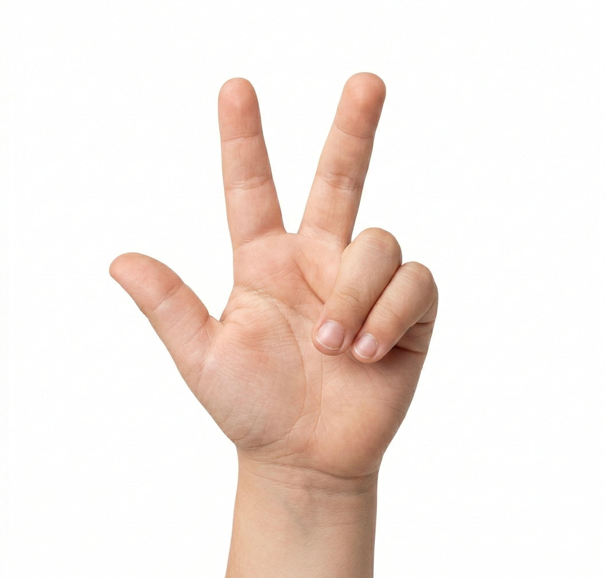 Fingerzahlen Vorschau